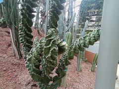 -南山植物园