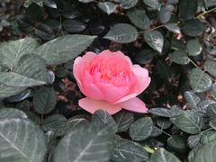 -人民公园(罗湖区)