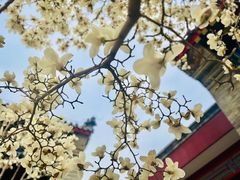 -天津大悲禅院
