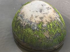 -摩拉基大圆石
