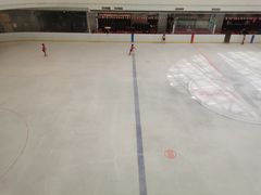 -陈露国际冰上中心(天津嘉里汇店)
