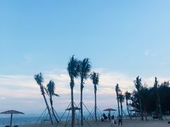 -玫瑰海岸文化旅游度假区