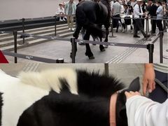 -深圳湾万象城(南山店)