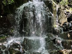 -本溪汤沟绿石谷森林公园