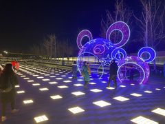 -梦之蓝青奥体育公园体育馆