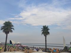 -碧海金沙