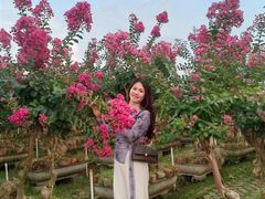 -武汉紫薇都市田园