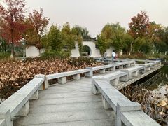 -金银湖国家城市湿地公园