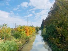 -上海长兴岛郊野公园