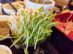 -汤连得温泉馆(宝山店)