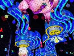 -淄博花灯齐彩城