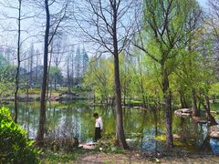 -梅林春晓花园餐厅