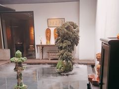 -觀芷隐轩