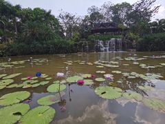 -中国科学院西双版纳热带植物园