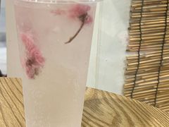 -楼上猫咖(罗湖店)