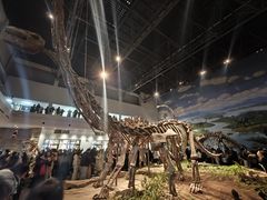 -自贡恐龙博物馆