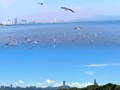 -深圳湾公园(南山区)