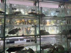 -青竹园海鲜餐厅(海天路店)