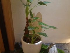 -常乐·对症推拿(嘉里中心第132分店)