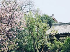 -西安青龙寺遗址景区