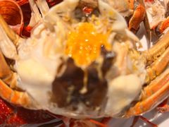 -七星龙虾城·海鲜·大闸蟹(吴江店)