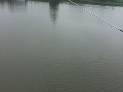 -东方绿舟景区