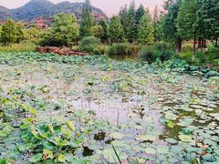 -湘湖金融镇