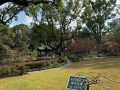 -申粤轩酒楼·三十年粤菜经典(丁香花园店)