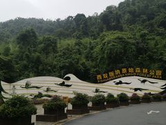 -西双版纳原始森林公园
