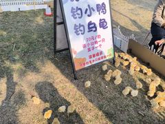 -光明小镇欢乐田园