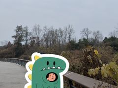 -白鹭湾湿地公园