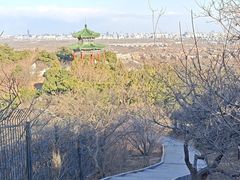 -北京西山国家森林公园