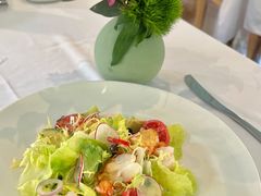 -蝶舍·MAISON PAPILLON