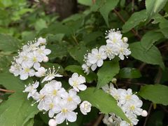 -大连天门山国家森林公园