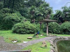 -南湾湖