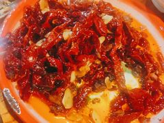 -柴窝堡22号辣子鸡·传承新疆菜