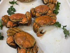 -聚福山莊·寻味顺德(北滘店)