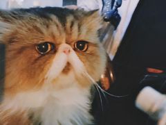 -麦当劳(广州新港东路第二分店)