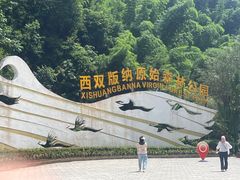 -西双版纳原始森林公园
