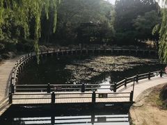 -白马涧龙池景区