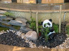 -成都凯宾斯基饭店