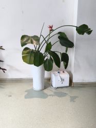 点击看大图 -Dr.林醫生产后修复·配方产康店(南京大厂店)
