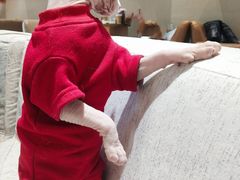 -藏猫猫咖啡主题馆(中央大道店)