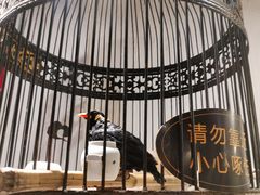 -清真·京华源铜锅涮肉(丰庆店)