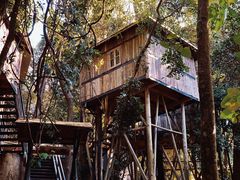 -天门沟九州驿站树上汤泉