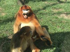 -西安秦岭野生动物园