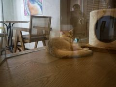 -Me Coffee下午茶艺术空间