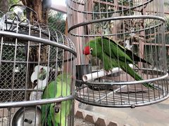 -南宫五洲植物乐园