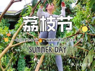 一啖荔枝三把火食够快够多就不上火