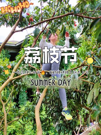 一啖荔枝三把火食够快够多就不上火